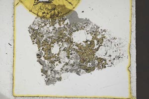 Plane Polarized, S59830