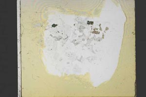 Plane Polarized, S59832