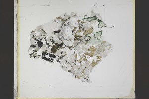 Plane Polarized, S59832/A