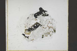 Plane Polarized, S59833