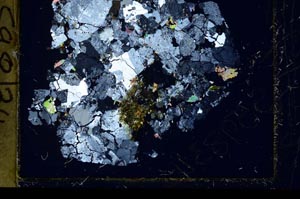 Cross Polarized, S59833/D