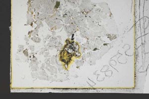 Plane Polarized, S59833/D