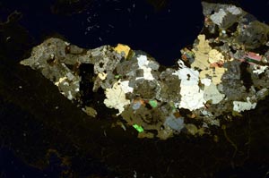 Cross Polarized, S59834/D