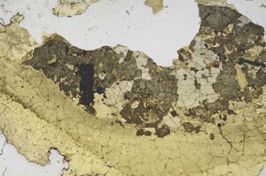 Plane Polarized, S59834/D