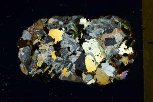 Cross Polarized, S59834/E