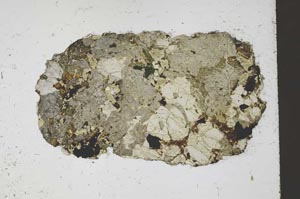 Plane Polarized, S59834/E