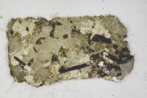 Plane Polarized, S59834/F