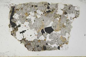 Plane Polarized, S59834/G