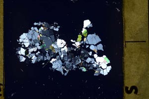 Cross Polarized, S59835