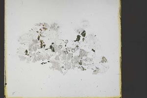 Plane Polarized, S59835