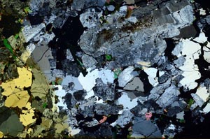 Cross Polarized, S59836