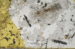 Plane Polarized, S59836