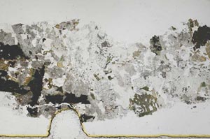 Plane Polarized, S59837