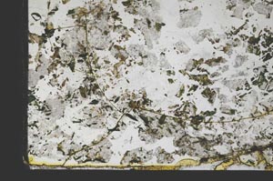 Plane Polarized, S59839