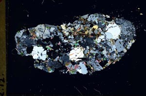 Cross Polarized, S59843