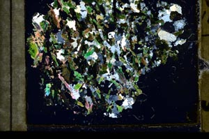 Cross Polarized, S59844