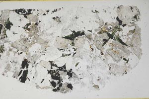 Plane Polarized, S59845