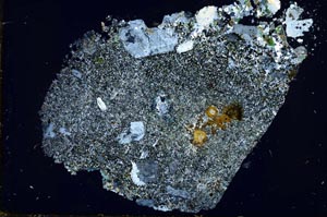 Cross Polarized, S59846