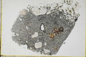 Plane Polarized, S59846