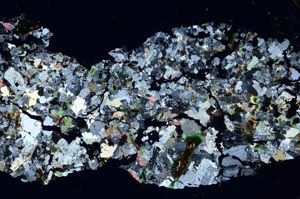 Cross Polarized, S59847