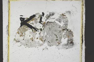 Plane Polarized, S59848