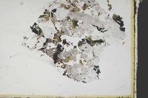 Plane Polarized, S59849