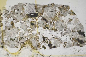 Plane Polarized, S59850