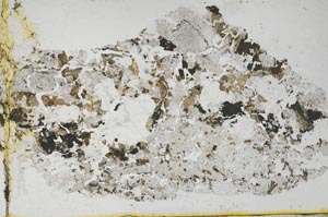 Plane Polarized, S59851