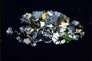 Cross Polarized, S59853