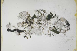 Plane Polarized, S59853