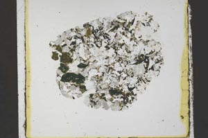 Plane Polarized, S59855