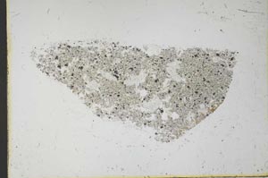 Plane Polarized, S59856