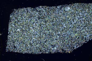 Cross Polarized, S59858