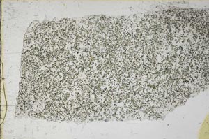 Plane Polarized, S59858