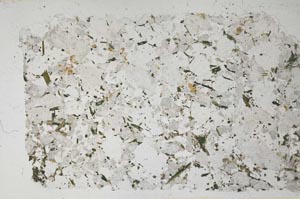 Plane Polarized, S59859