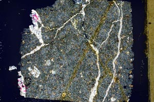 Cross Polarized, S59862