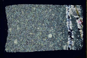 Cross Polarized, S59863