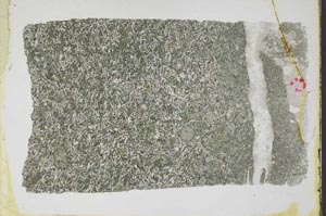 Plane Polarized, S59863