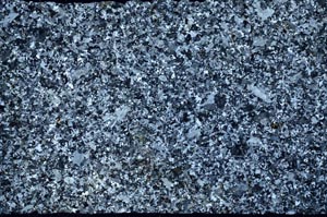 Cross Polarized, S59864