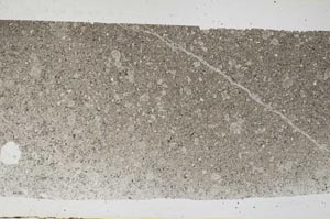 Plane Polarized, S59869