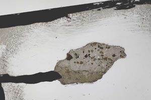 Plane Polarized, S59891