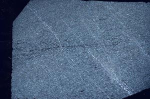 Cross Polarized, S59895