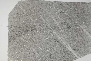 Plane Polarized, S59895