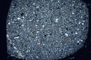 Cross Polarized, S59906