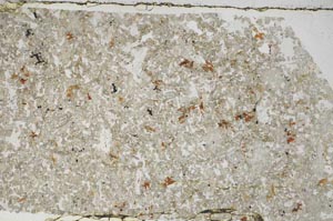 Plane Polarized, S59931