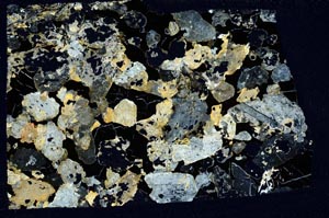 Cross Polarized, S59932