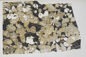 Plane Polarized, S59932