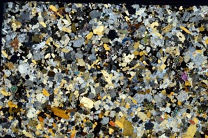 Cross Polarized, S59933