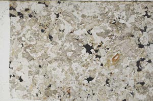 Plane Polarized, S59940