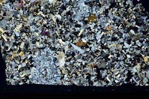 Cross Polarized, S59942